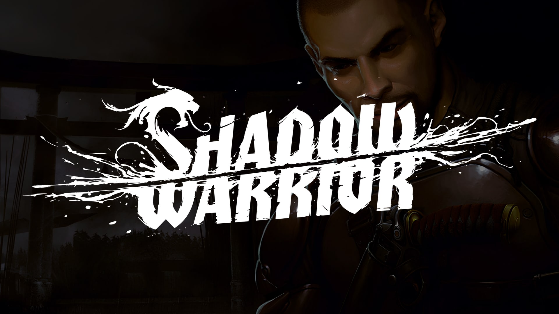 Shadow Warrior (2013)